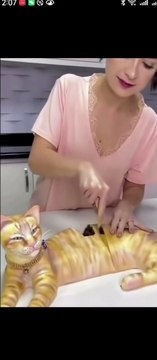 The Laughers Collection: Clips, Memes.