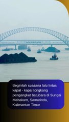 Video kapal tongkang batubara di sungai Mahakam