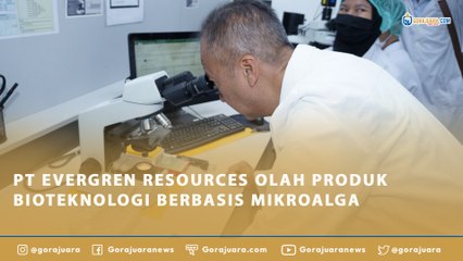 PT EVERGREN RESOURCES OLAH PRODUK BIOTEKNOLOGI BERBASIS MIKROALGA