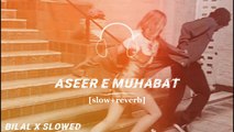 Aseer E Muhabbat Full song Slowed & reverb Lofi song