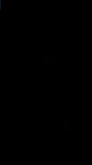 Anatoly professional power lifting