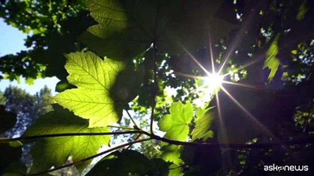 Sole e mare, consigli di SOI per la salute degli occhi in vacanza
