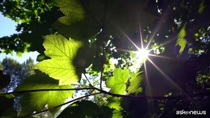 Sole e mare, consigli di SOI per la salute degli occhi in vacanza