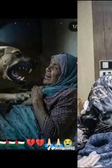  Heartbreaking: Palestinian Girl Questions Ongoing Aggression 