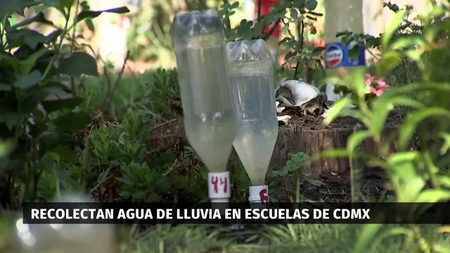 La tormenta ‘Chris’ deja graves afectaciones en México. Paola Barquet, 02 de julio 2024