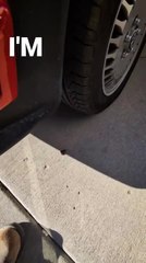 Part of Tyre Gets Damaged After Jeep Hits Curb