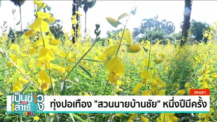 เที่ยว "ละลุ” สิ่งมหัศจรรย์เกิดขึ้นตามธรรมชาติ | เป็นข่าวเล่าเรื่อง | 3 ก.ค. 67 | PART 2