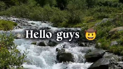 Only real miraculous fans can solve this quiz