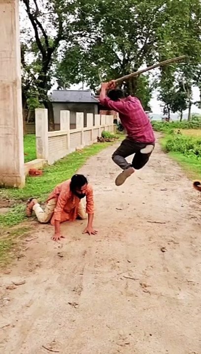 Funny videos