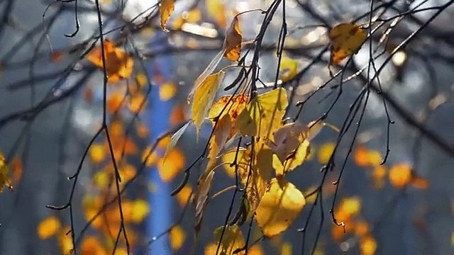 4K Beauty Of Nature Drone Aerial View creative commons videos on youtube