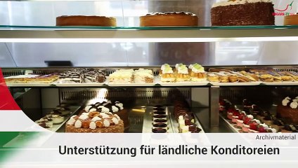 Kurznachrichten aus Ungarn am 03.07.2024