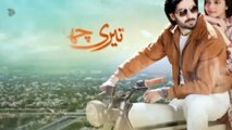 Teri Chhaon Mein - Episode 06 - 03 July 2024 | New Pakistani Drama 2024