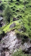 VID-20240627-WA0000