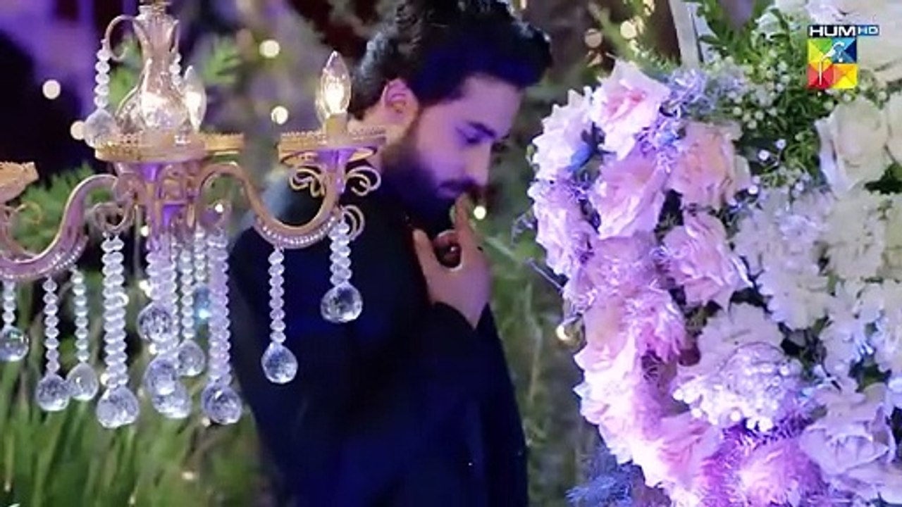 Ishq murshid jaane tamanna