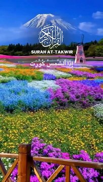 Surah At-Takwire 7times -15-15 | Beautiful Recitation|Quran |quran |Tilawat
