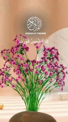 Surah At-Takwire 0033 |Beautiful Recitation|Quran |quran |Tilawat