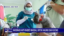 Program Vaksinasi Hewan Gratis di Madiun, Cegah Infeksi Rabies pada Hewan Peliharaan Warga