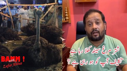 BAMM! EP 423: Zafar Abbas launched 'The Ostrich'