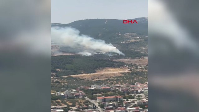 Manisa'da orman yangını