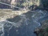 Marie doing the gorge swing at the Victoria Falls