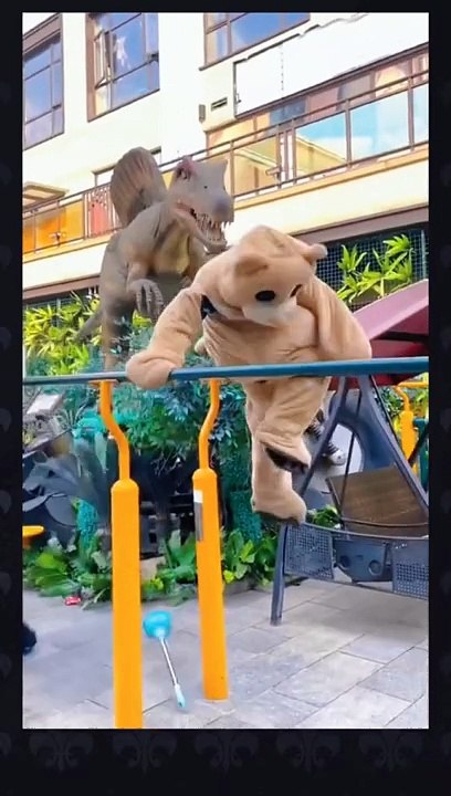 Funny panda videos