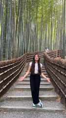 5 choses à savoir sur le Japon 