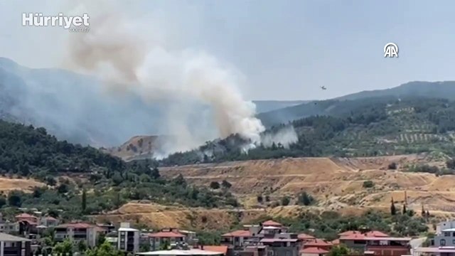 Manisa'nın Soma ilçesinde orman yangını