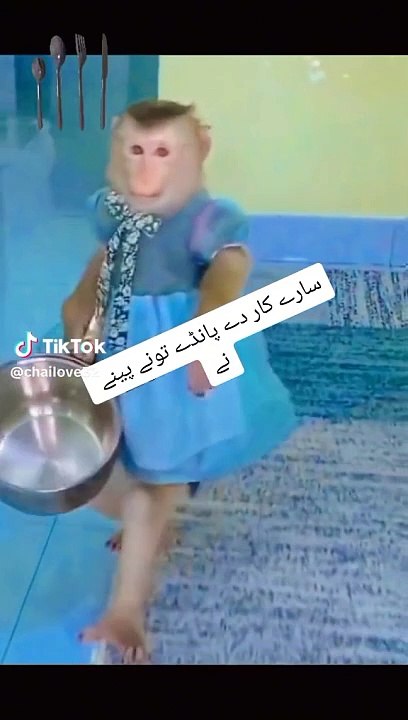 dd2dda4cf48afa12f3f9f4c36bfc395f