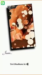 Teri dharkano sy hai zindagi meri