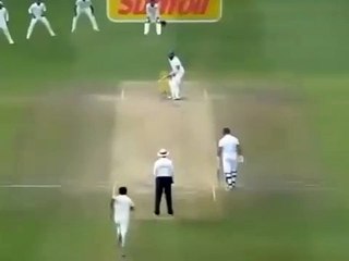 Real Moye Moye Cricket Moment