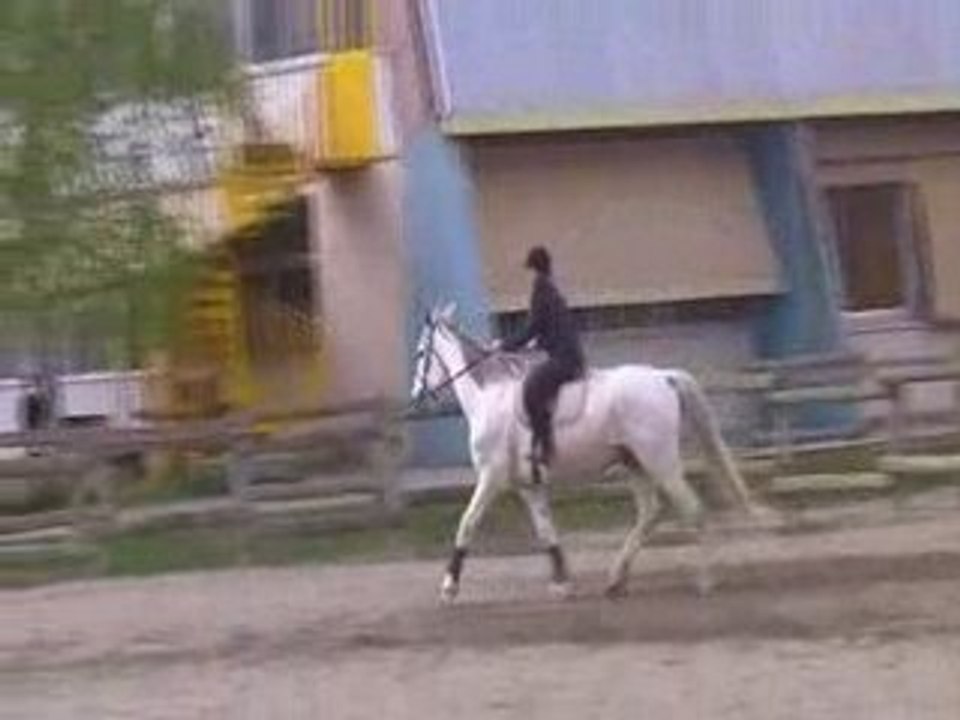 Dressage et obstacle