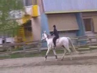 Dressage et obstacle
