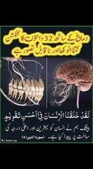 Islamic video mashallah Allah pak key shan