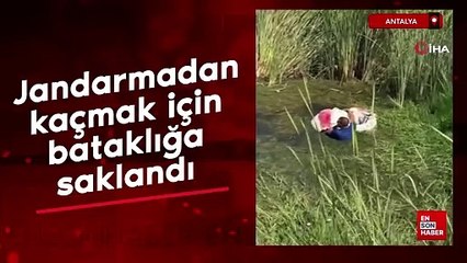 Antalya'da jandarmadan kaçmak için bataklığa saklandı, kaçamadı