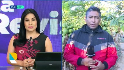 Plantaciones de papaya, pimentón y papa son las más afectadas por la sequía en Omereque