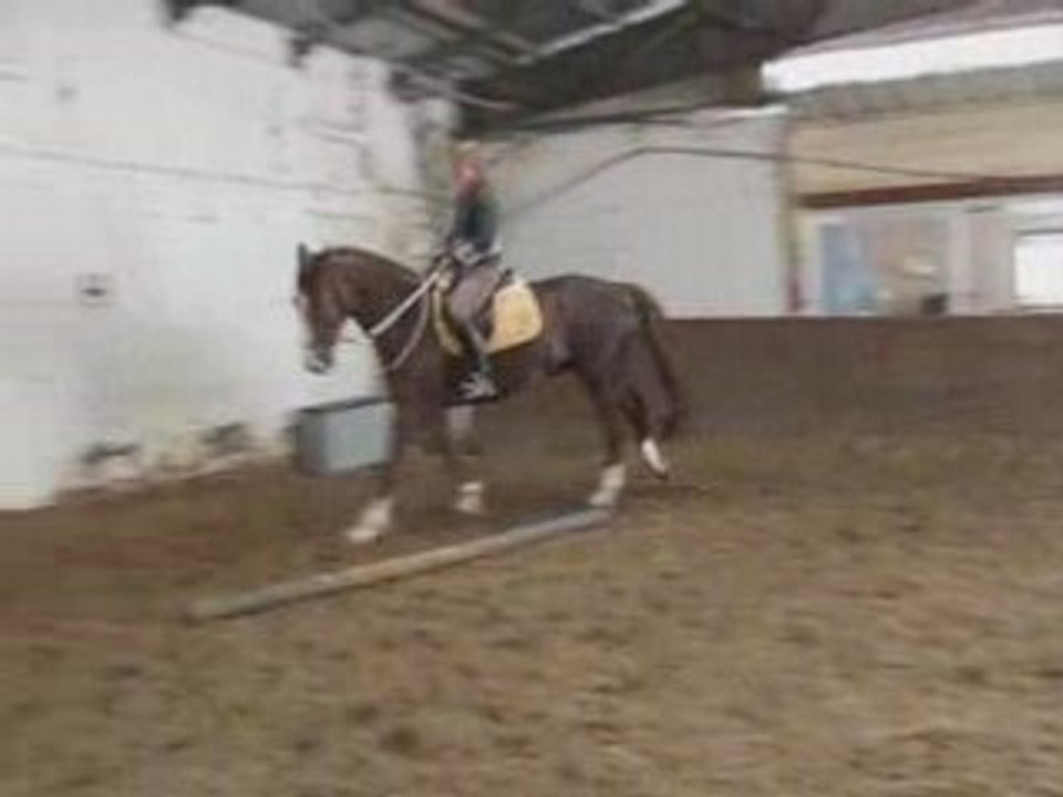 Galop