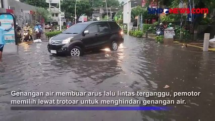 Descargar video: Kawasan Kemang Raya Terendam Banjir Usai Hujan Deras, Arus Lalu Lintas Terganggu