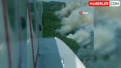 İzmir Bornova'da Orman Yangını Çıktı