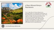 Affordable Kenya Safari Packages with Bushtroop Tours and Safaris