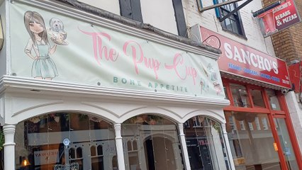 The Pup Cup doggy cafe