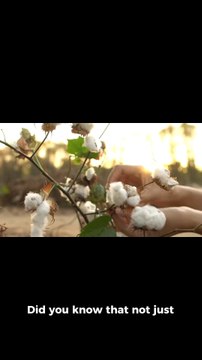 cotton pickers