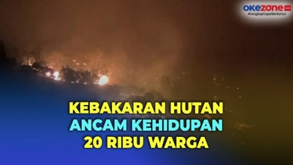 Kebakaran Hutan di Califonia Utara Ancam Kehidupan 20 Ribu Warga