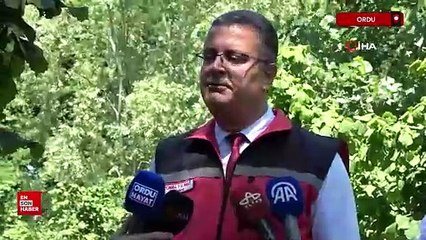 Ordu'da fındıkta rekolte tespit çalışmaları başladı