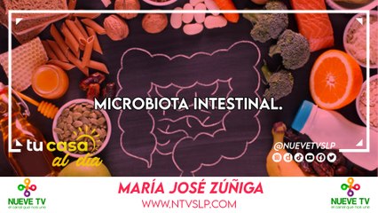 Descubre cómo tu microbiota intestinal impacta tu salud 🦠
