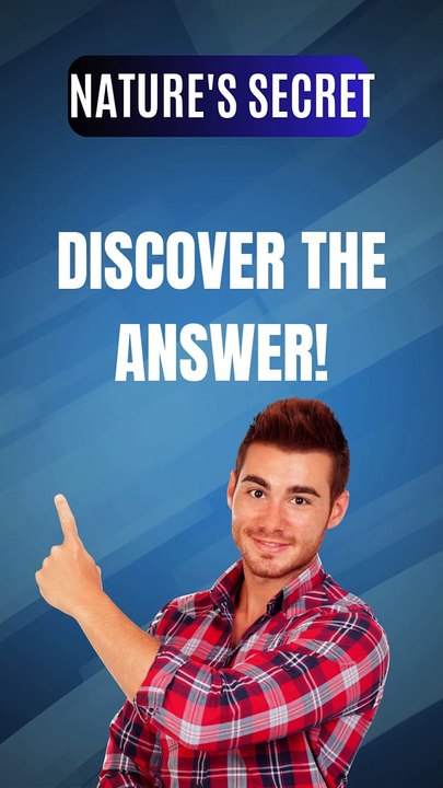 "Brain Teasers, Riddles & Logic Puzzles | RiddleXc