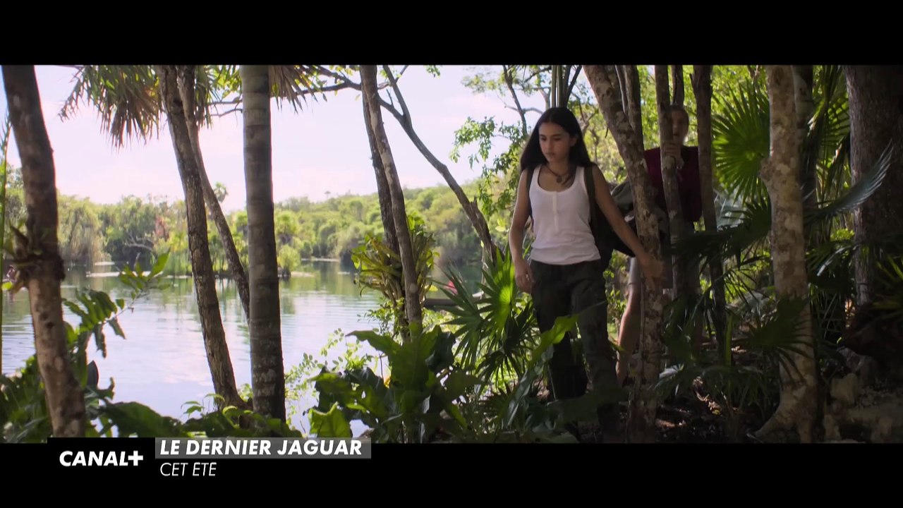 Les programmes CANAL+ de l'été