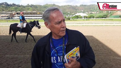 HIPISMO: Conoce a Freddy Escobar, el Entrenador que Revoluciona el Hipismo 🐎