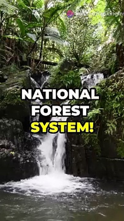 Top 10 facts about Puerto Rico !