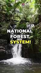 Top 10 facts about Puerto Rico !