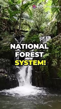 Top 10 facts about Puerto Rico !